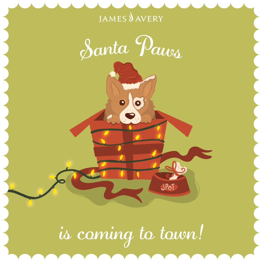 Santa Paws is Coming to town!