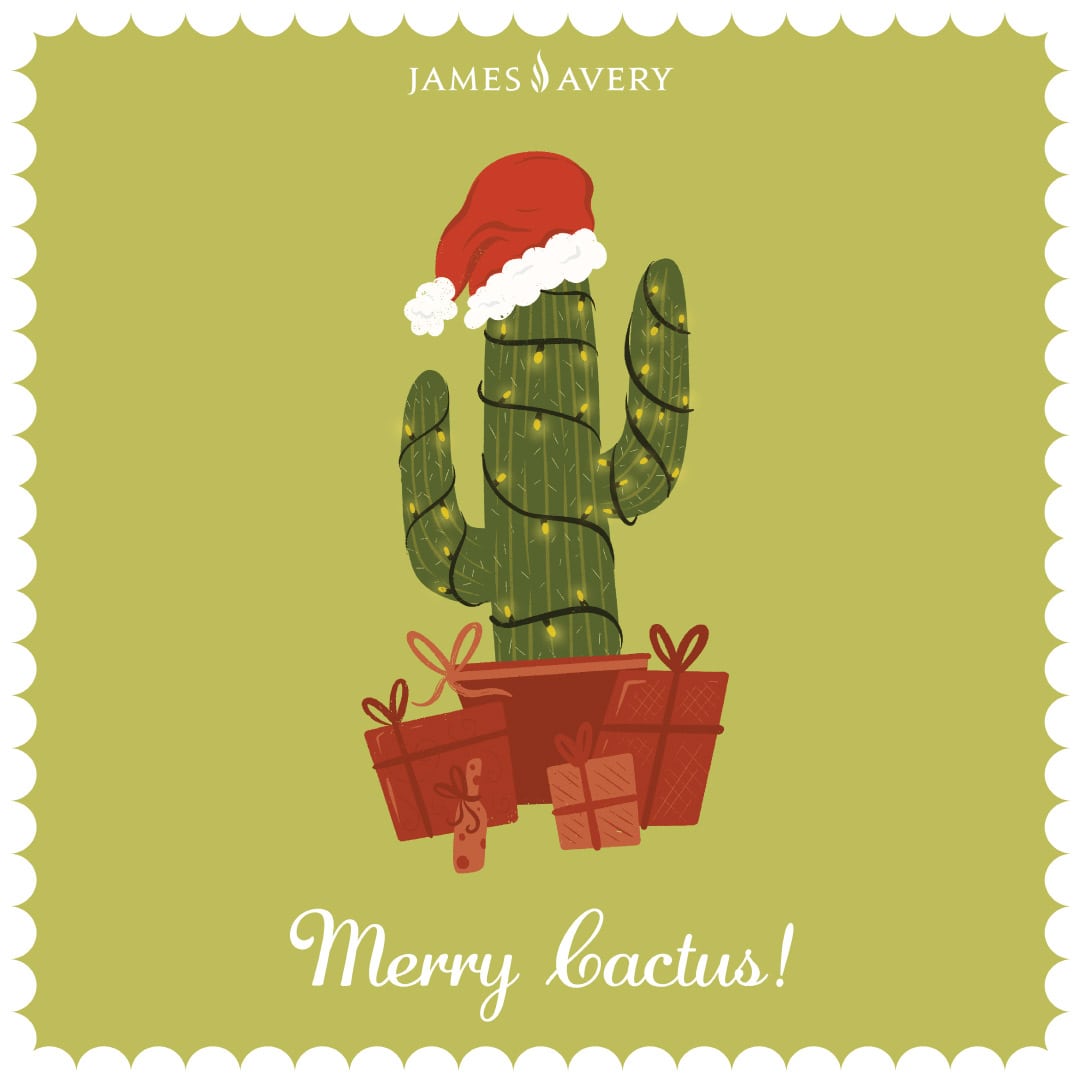 Merry Cactus!